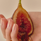 A hand holding a fresh fig cut in half, displaying its juicy interior