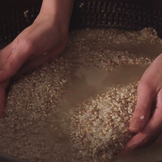 hands holding and washing a mixture of brown and white rice grains, illustrating the raw ingredients used in the Fresh Cleanser product